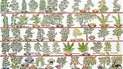 藏藥材資源分布、發(fā)展史